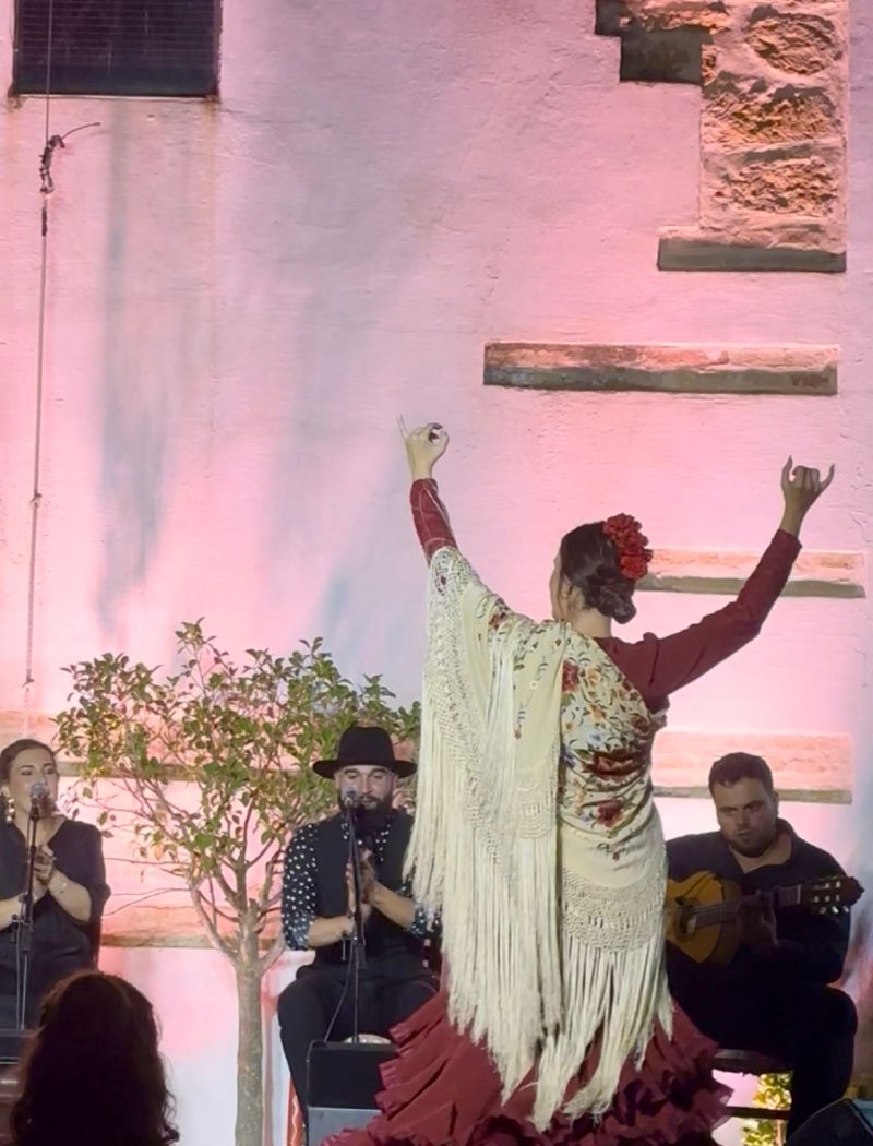 Baile Flamenco Carmon - Escuela