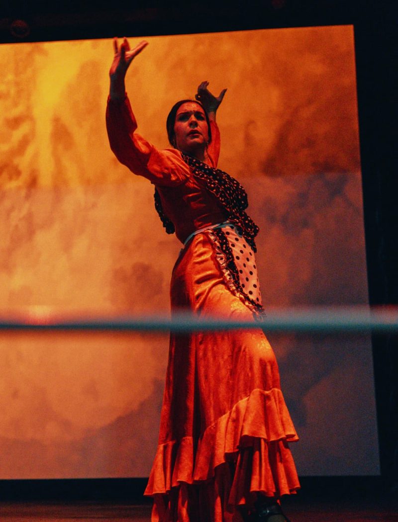 Espectáculo de baile flamenco